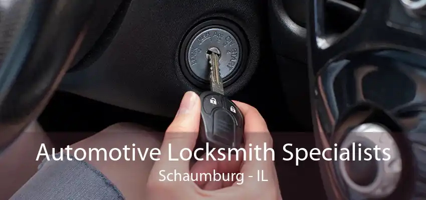Automotive Locksmith Specialists Schaumburg - IL