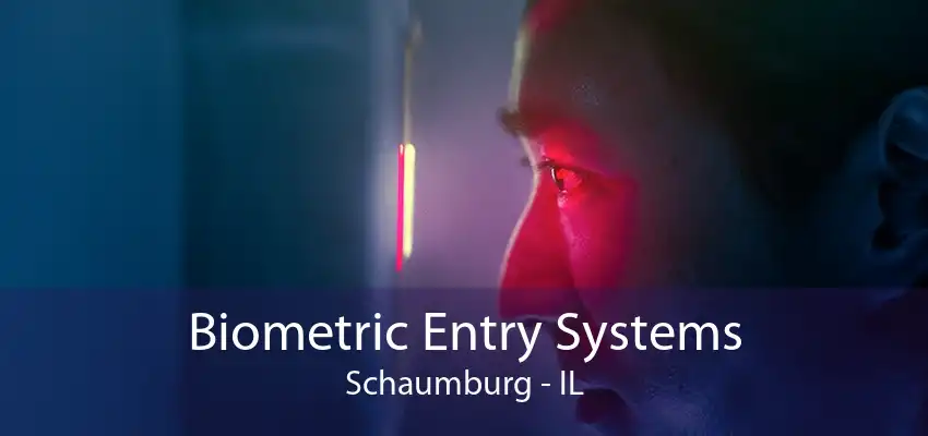 Biometric Entry Systems Schaumburg - IL