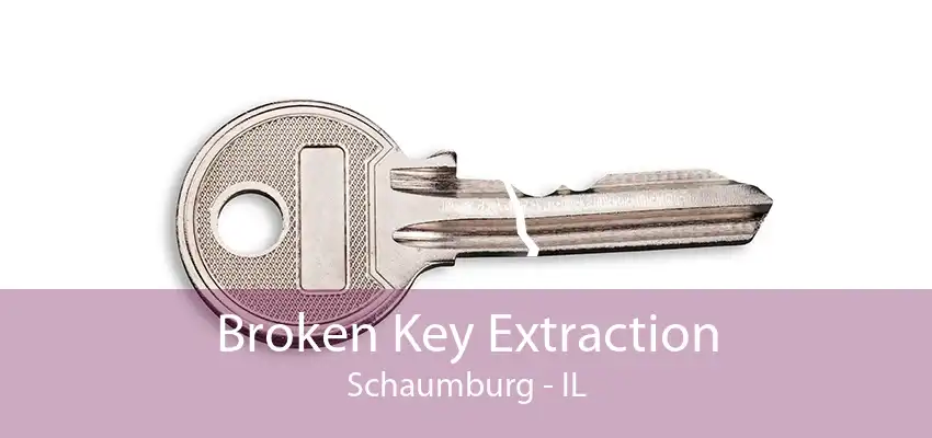 Broken Key Extraction Schaumburg - IL