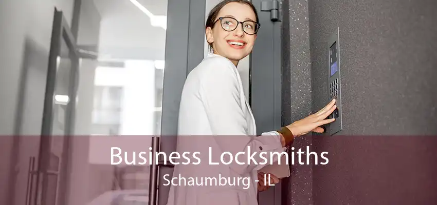 Business Locksmiths Schaumburg - IL