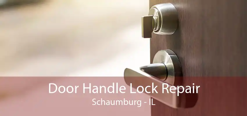 Door Handle Lock Repair Schaumburg - IL