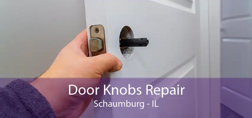 Door Knobs Repair Schaumburg - IL