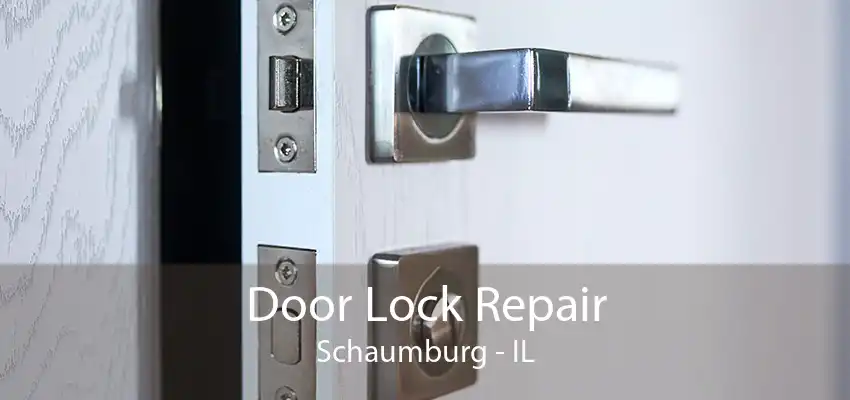 Door Lock Repair Schaumburg - IL