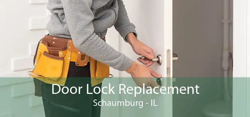 Door Lock Replacement Schaumburg - IL