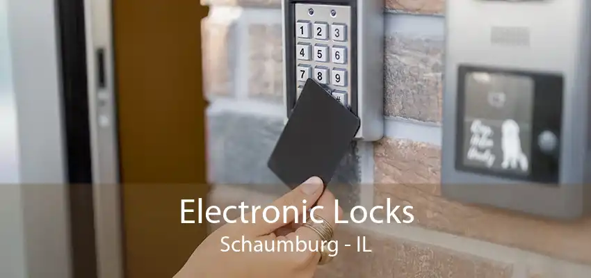 Electronic Locks Schaumburg - IL