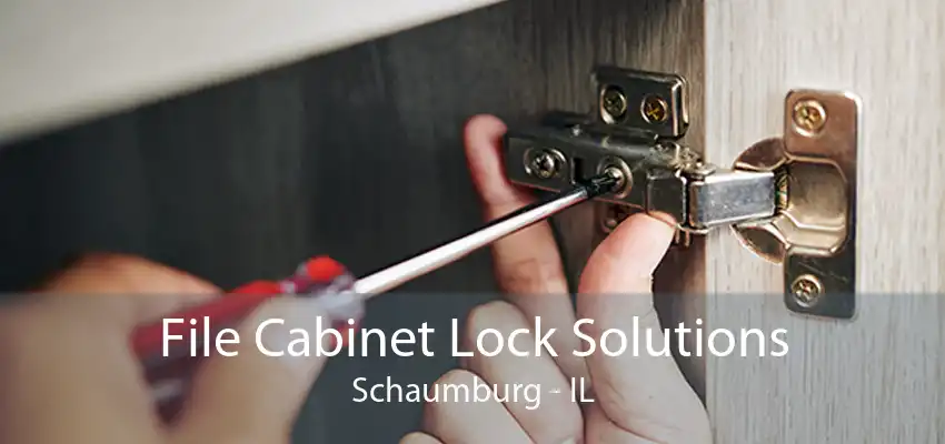 File Cabinet Lock Solutions Schaumburg - IL