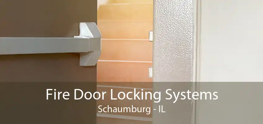 Fire Door Locking Systems Schaumburg - IL