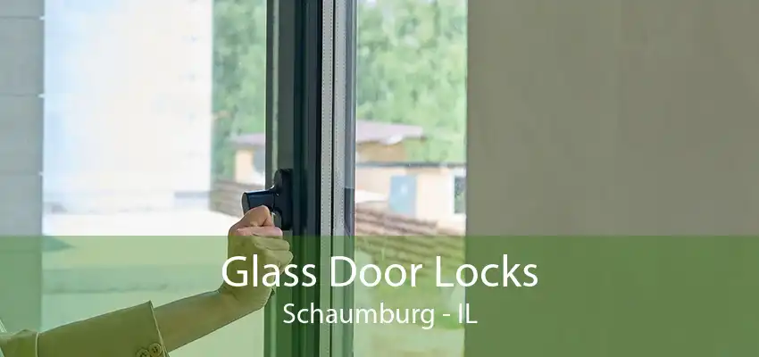 Glass Door Locks Schaumburg - IL