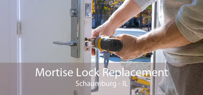 Mortise Lock Replacement Schaumburg - IL