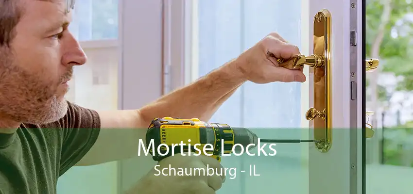 Mortise Locks Schaumburg - IL