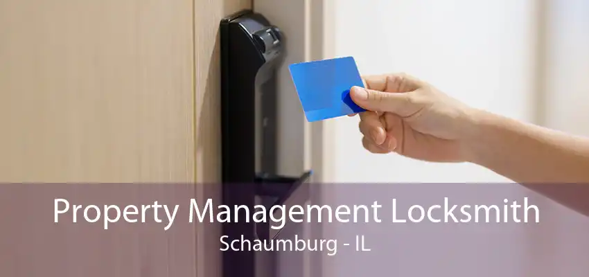 Property Management Locksmith Schaumburg - IL
