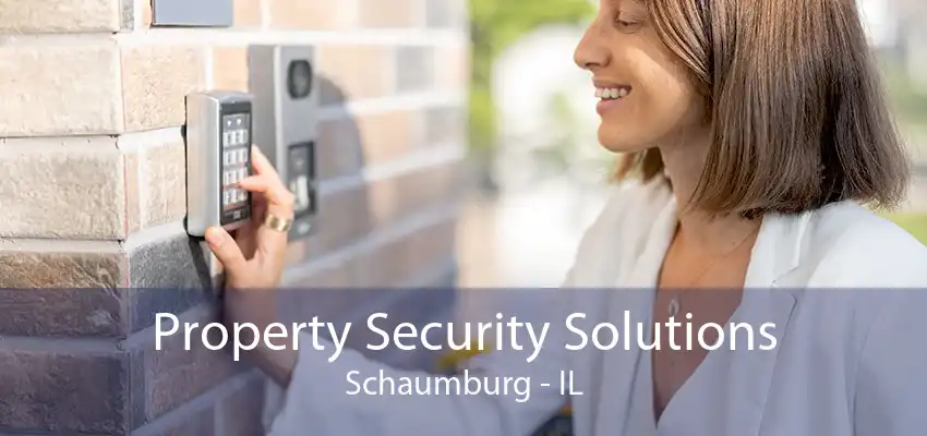 Property Security Solutions Schaumburg - IL