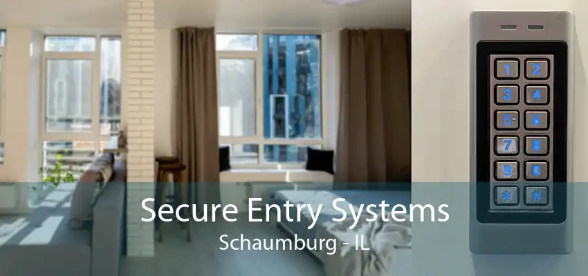 Secure Entry Systems Schaumburg - IL
