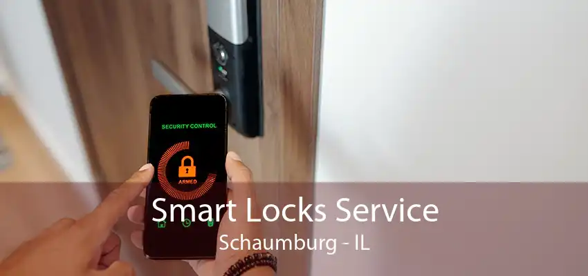 Smart Locks Service Schaumburg - IL