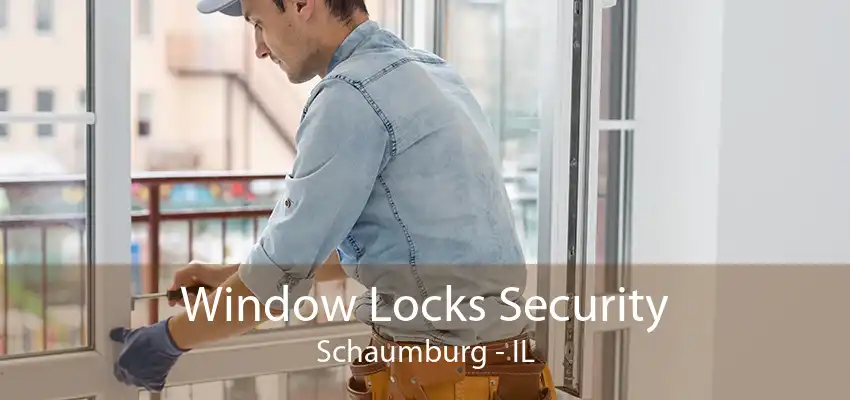 Window Locks Security Schaumburg - IL